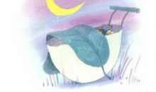 百变鸡蛋壳看图写话