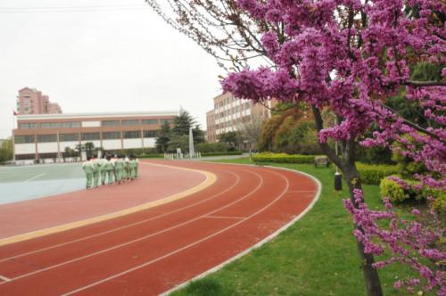 校园之春