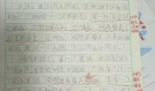 我懂得了什么作文450字