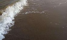 海潮中最美的浪花