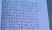 家庭给我的教育作文450字