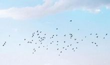 与梦想走过的日子