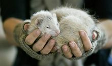 捧在手中的温暖