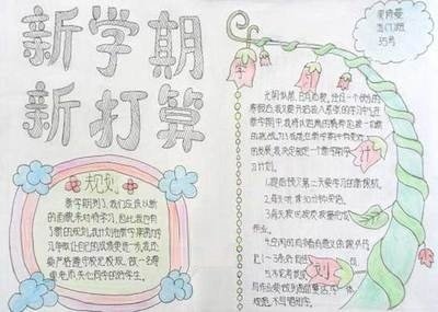 我八年级的生活