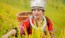 我努力读懂外婆的背篓