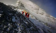 我为小伙子喝彩