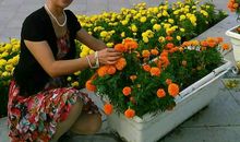 与友谊一起走过的日子