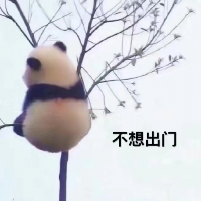 随着风