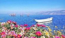 爱是生活中最美的风景