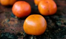 “柿子”乡村游记