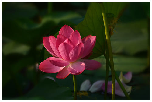 我爱四个季节