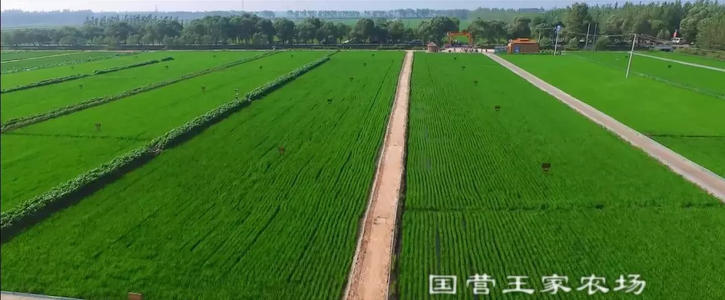 将零变成一个整体