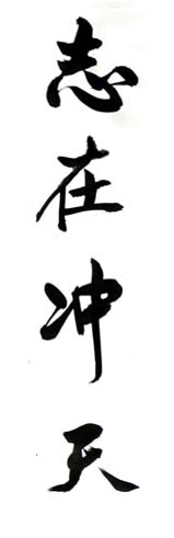 瞄准飞涨