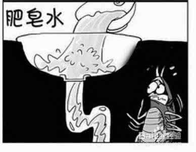 为什么肥皂水可以“杀死”蚊子