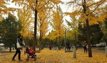 雨中那一抹亮色