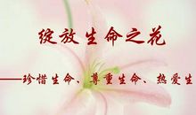 把尊重留给生命