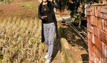 我真想去乡村生活