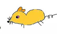 我变成了一只小老鼠