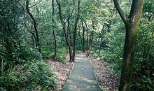 尖刀山森林公园