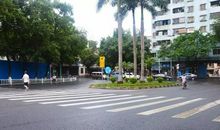 一路繁华，一路伤