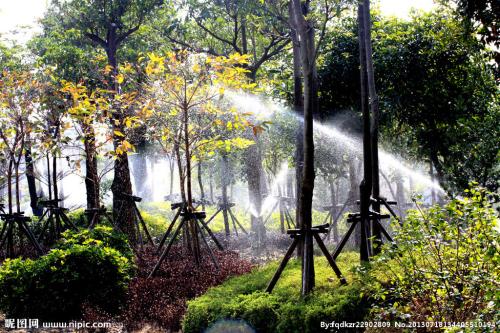 乡村迷人的早晨景色