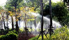 迷人的乡村晨景