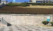 携手共进，保护绿水青山