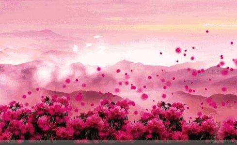 触摸绿色梦想