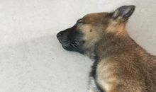 一绺清香入心底