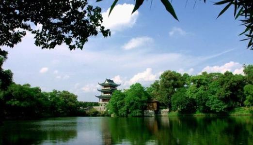 我的“绿色生态梦”