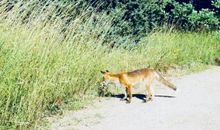 最后一刻的目光