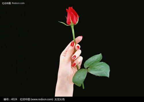 掌中的花