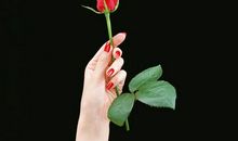 你手心盛放的花