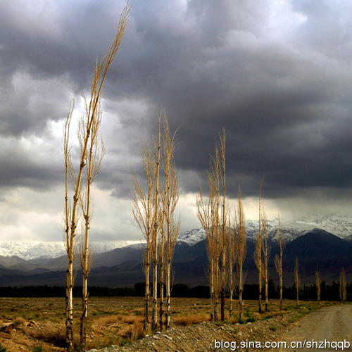 那刻骨铭心的时刻