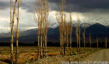 那个难忘的时刻