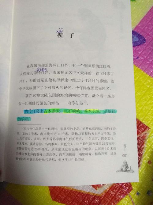 关于阅读《尼尔丁岛上的猕猴》的思考
