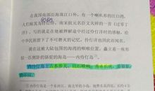 《内伶仃岛上的猕猴》读后感