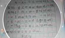 小猴盖井盖看图写话二年级