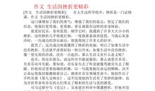 生活因文明而精彩作文