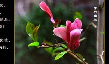 冷风·凄雨·笑靥