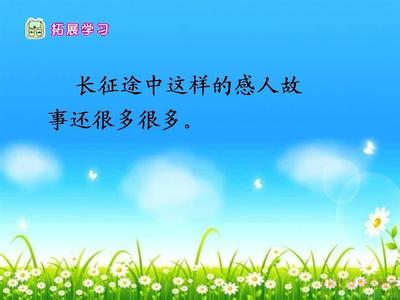 以雨露为主题的构图