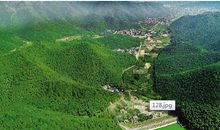 梦想中的绿色庆元