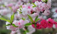 心灵美永恒的美