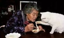 老人与猫
