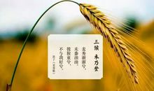 跟秋天说声再见