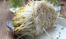 “绿豆芽”之谜