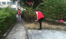 保护环境在行动