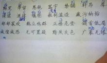 为发现开辟道路