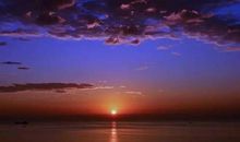 这个夏天和那片紫红