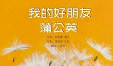 蒲公英让我陶醉